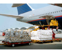 物流倉儲(chǔ)與貨物報(bào)關(guān)代理 現(xiàn)代國際貿(mào)易的基石